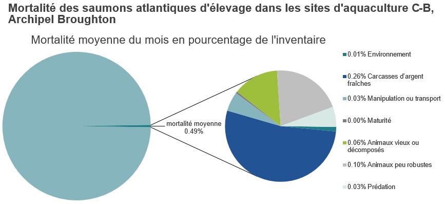 Mortalité des saumons atlantiques d'élevage dans les sites d'aquaculture C-B, Archipel Broughton