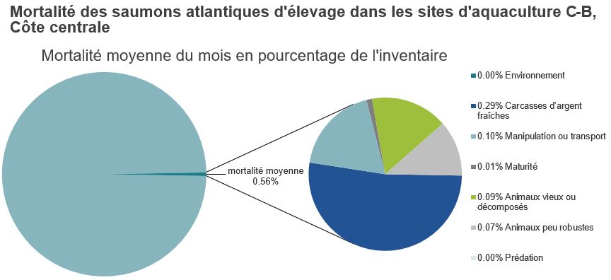 Mortalité des saumons atlantiques d'élevage dans les sites d'aquaculture C-B, Côte centrale 