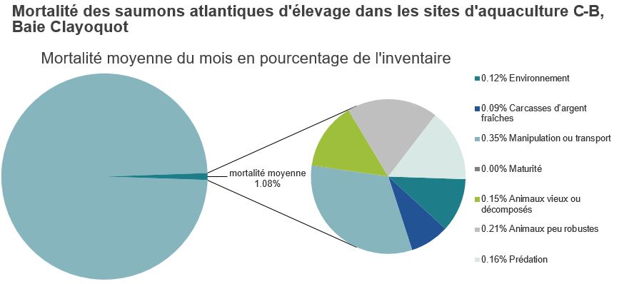 Mortalité des saumons atlantiques d'élevage dans les sites d'aquaculture C-B, Baie Clayoquot