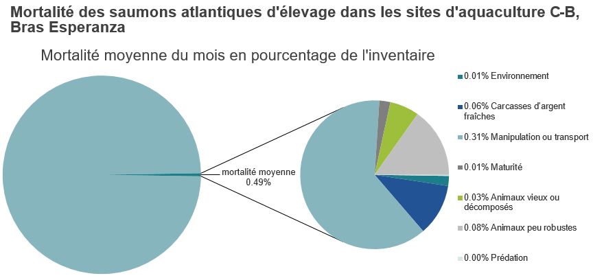 Mortalité des saumons atlantiques d'élevage dans les sites d'aquaculture C-B, Bras Esperanza