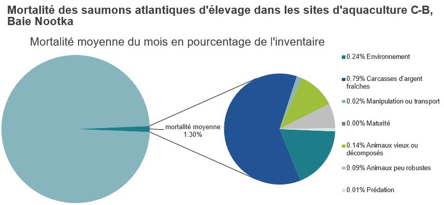 Mortalité des saumons atlantiques d'élevage dans les sites d'aquaculture C-B, Baie Nootka