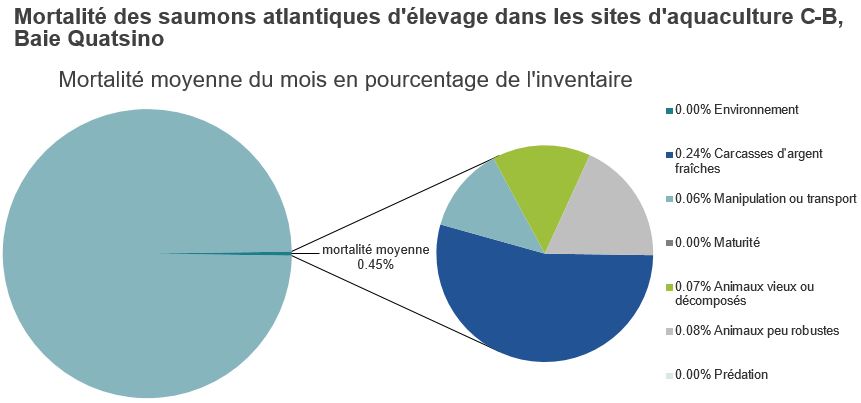 Mortalité des saumons atlantiques d'élevage dans les sites d'aquaculture C-B, Baie Quatsino