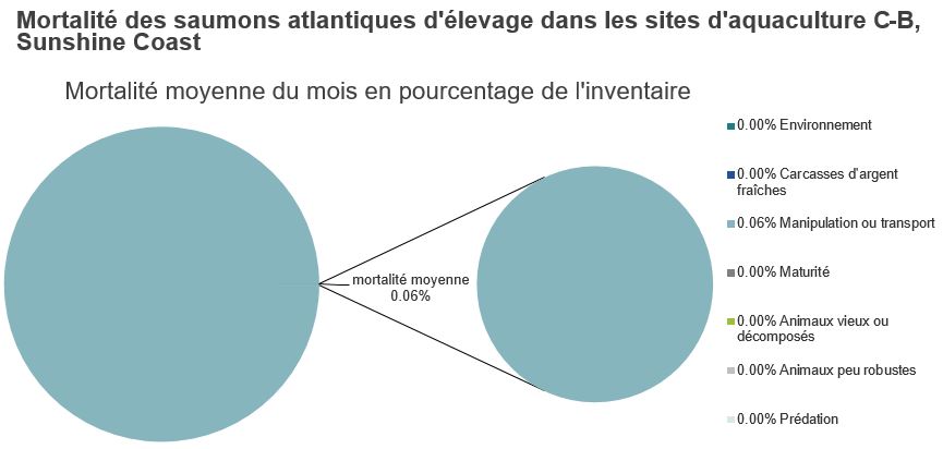 Mortalité des saumons atlantiques d'élevage dans les sites d'aquaculture C-B, Sunshine Coast