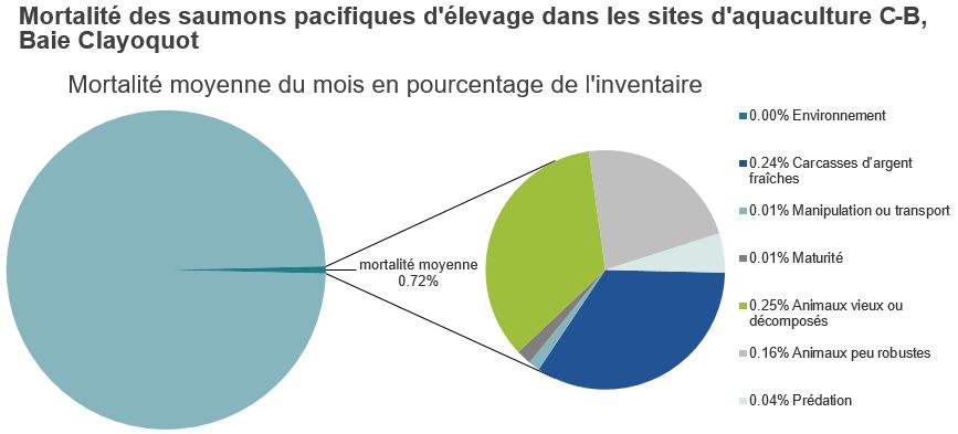 Mortalité des saumons pacifiques d'élevage dans les sites d'aquaculture C-B, Baie Clayoquot
