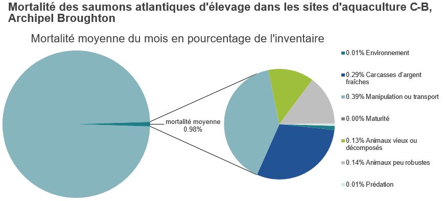 Mortalité des saumons atlantiques d'élevage dans les sites d'aquaculture C-B, Baie Clayoquot