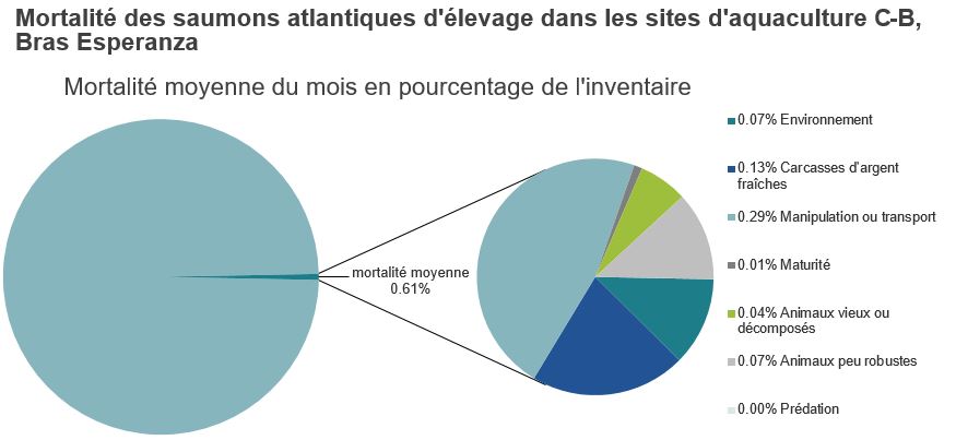 Mortalité des saumons atlantiques d'élevage dans les sites d'aquaculture C-B, Bras Esperanza
