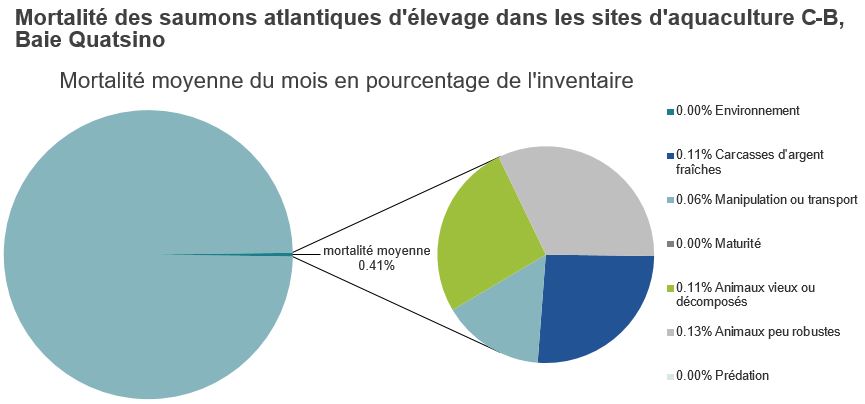 Mortalité des saumons atlantiques d'élevage dans les sites d'aquaculture C-B, Baie Quatsino