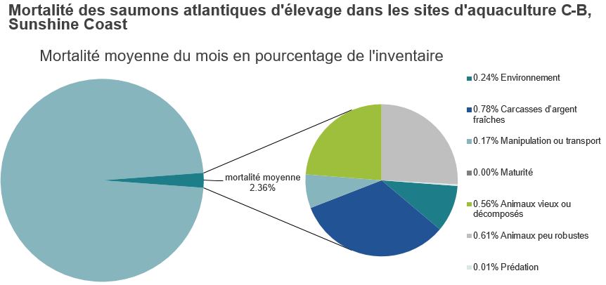Mortalité des saumons atlantiques d'élevage dans les sites d'aquaculture C-B, Sunshine Coast