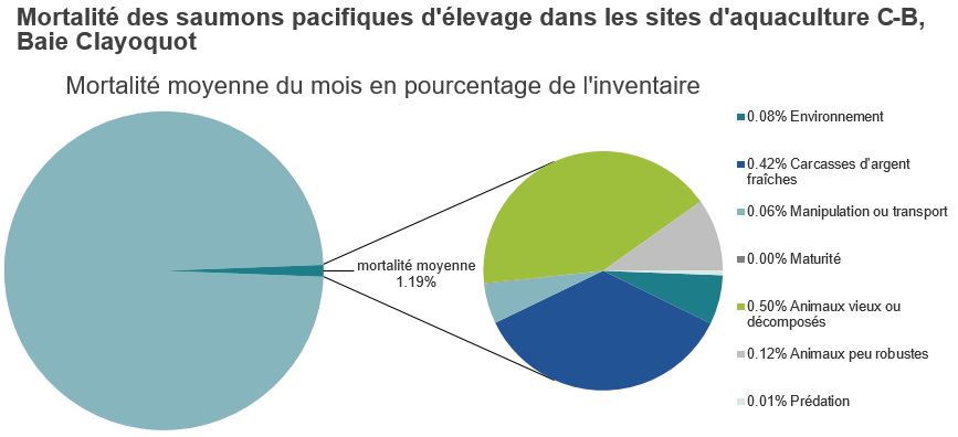 Mortalité des saumons pacifiques d'élevage dans les sites d'aquaculture C-B, Baie Clayoquot