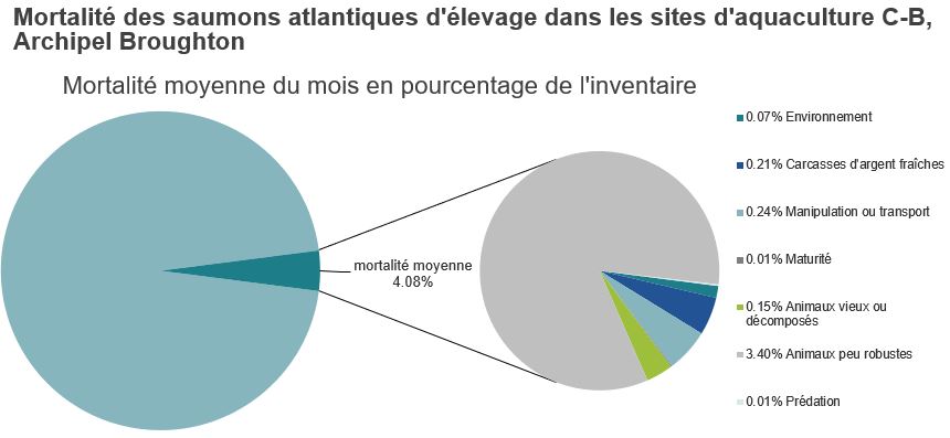 Mortalité des saumons atlantiques d'élevage dans les sites d'aquaculture C-B, Baie Clayoquot