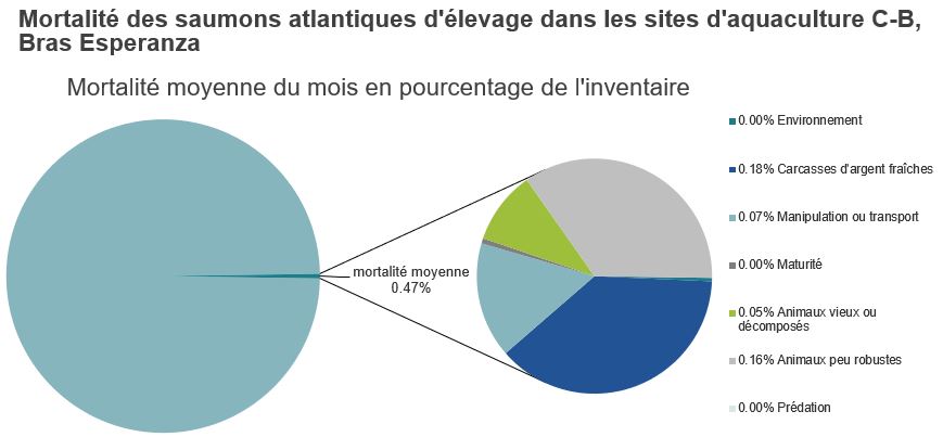 Mortalité des saumons atlantiques d'élevage dans les sites d'aquaculture C-B, Bras Esperanza