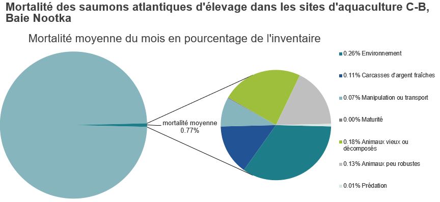 Mortalité des saumons atlantiques d'élevage dans les sites d'aquaculture C-B, Baie Nootka