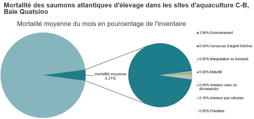 Mortalité des saumons atlantiques d'élevage dans les sites d'aquaculture C-B, Baie Quatsino