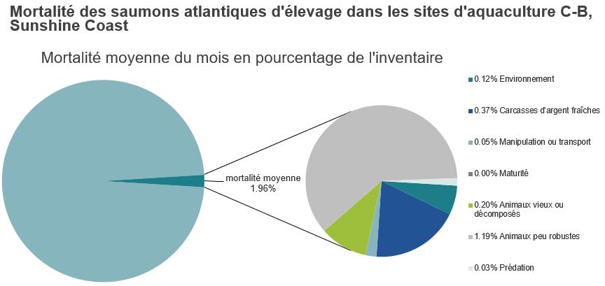 Mortalité des saumons atlantiques d'élevage dans les sites d'aquaculture C-B, Sunshine Coast