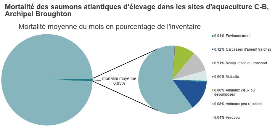 Mortalité des saumons atlantiques d'élevage dans les sites d'aquaculture C-B, Baie Clayoquot