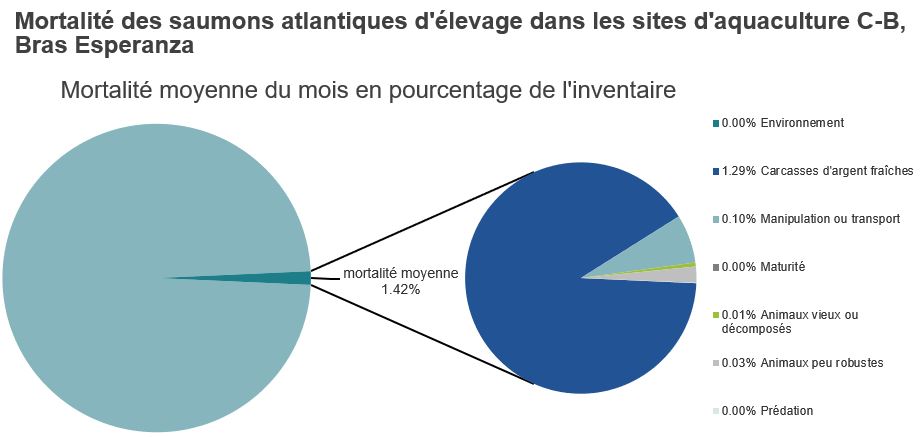 Mortalité des saumons atlantiques d'élevage dans les sites d'aquaculture C-B, Bras Esperanza