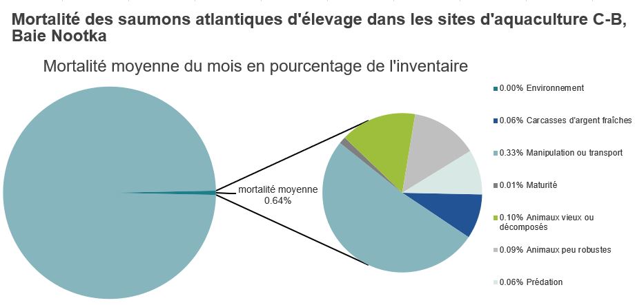Mortalité des saumons atlantiques d'élevage dans les sites d'aquaculture C-B, Baie Nootka