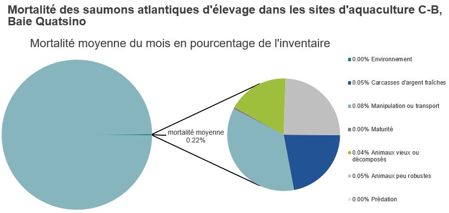 Mortalité des saumons atlantiques d'élevage dans les sites d'aquaculture C-B, Baie Quatsino
