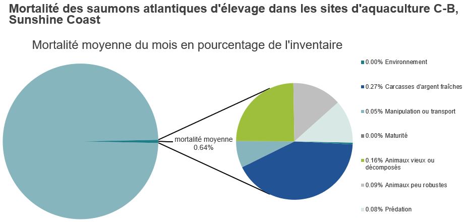 Mortalité des saumons atlantiques d'élevage dans les sites d'aquaculture C-B, Sunshine Coast