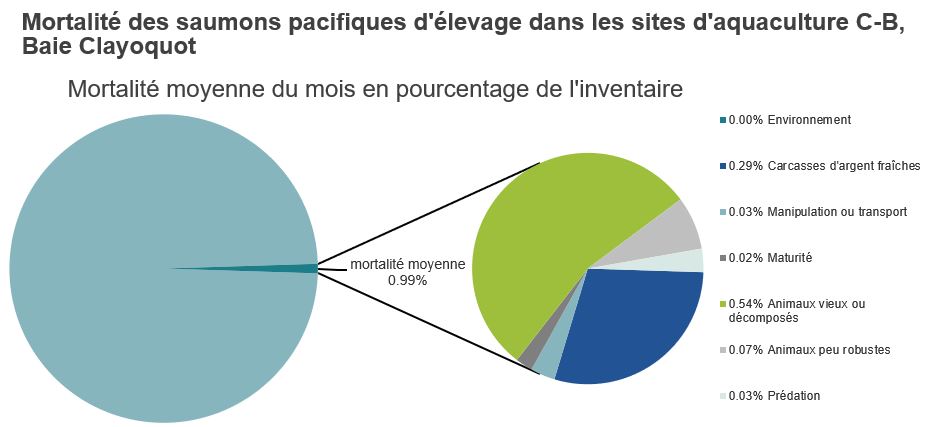 Mortalité des saumons pacifiques d'élevage dans les sites d'aquaculture C-B, Baie Clayoquot