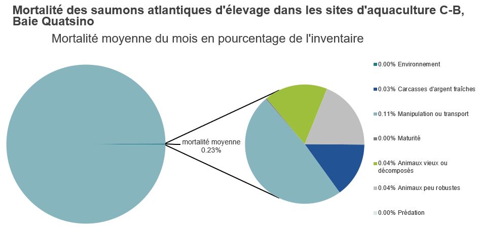 Mortalité des saumons atlantiques d'élevage dans les sites d'aquaculture C-B, Baie Quatsino