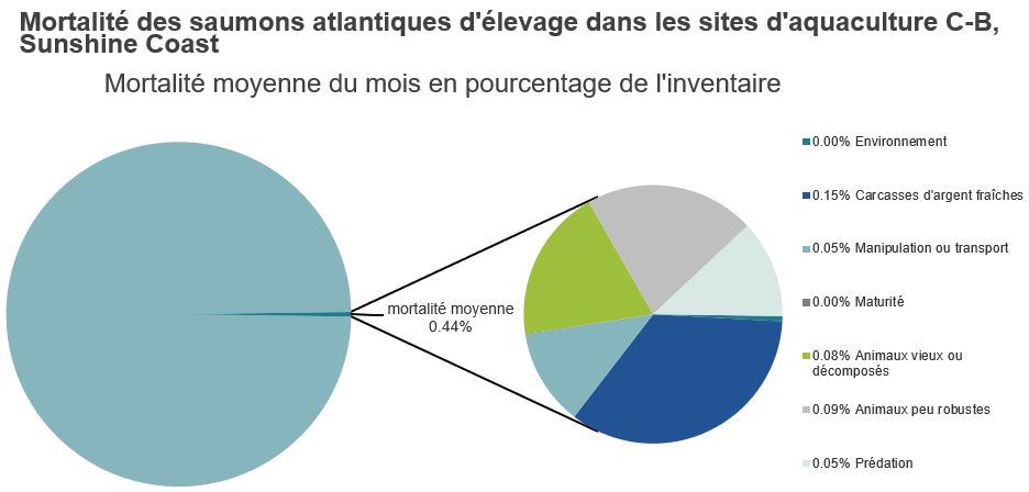 Mortalité des saumons atlantiques d'élevage dans les sites d'aquaculture C-B, Sunshine Coast