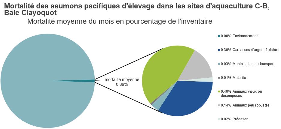 Mortalité des saumons pacifiques d'élevage dans les sites d'aquaculture C-B, Baie Clayoquot