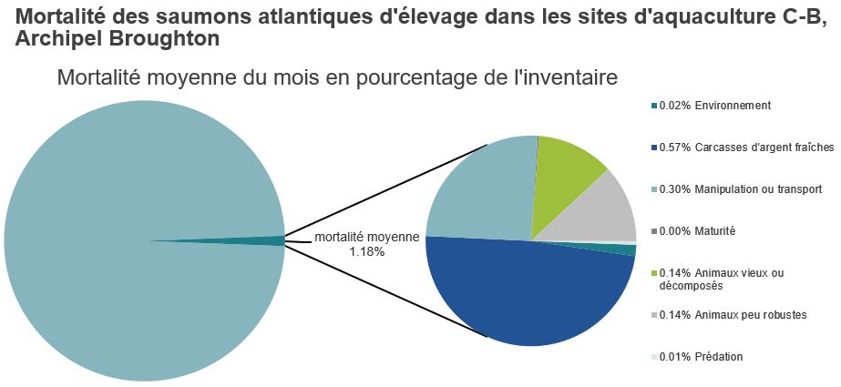 Mortalité des saumons atlantiques d'élevage dans les sites d'aquaculture C-B, Archipel Broughton