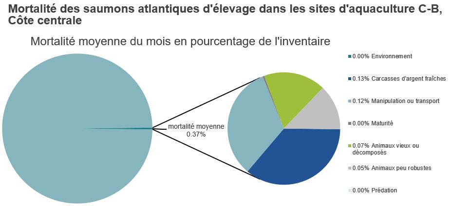 Mortalité des saumons atlantiques d'élevage dans les sites d'aquaculture C-B, Côte centrale 