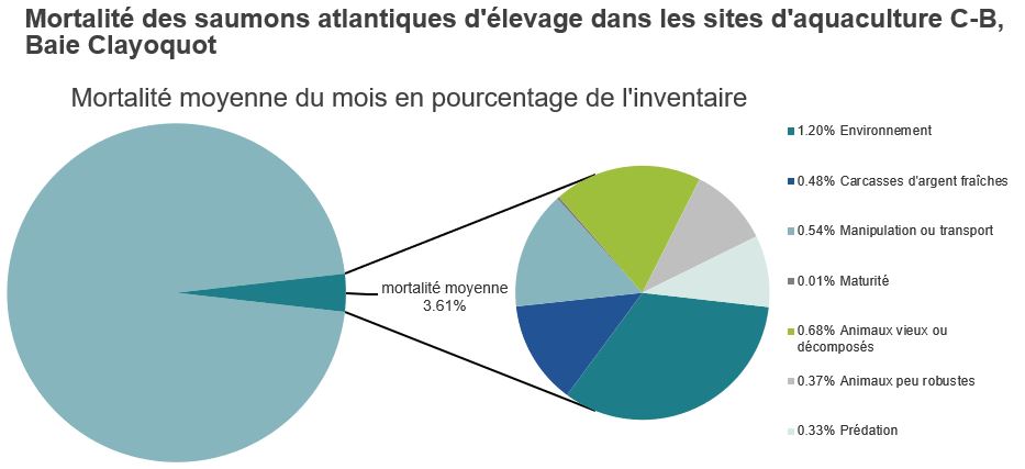 Mortalité des saumons atlantiques d'élevage dans les sites d'aquaculture C-B, Baie Clayoquot