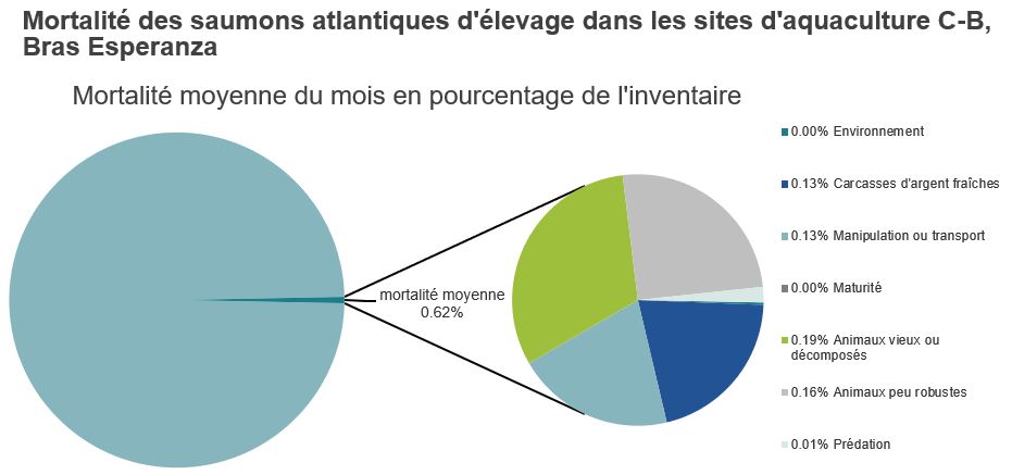 Mortalité des saumons atlantiques d'élevage dans les sites d'aquaculture C-B, Bras Esperanza
