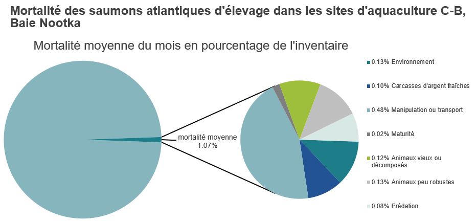Mortalité des saumons atlantiques d'élevage dans les sites d'aquaculture C-B, Baie Nootka