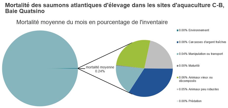 Mortalité des saumons atlantiques d'élevage dans les sites d'aquaculture C-B, Baie Quatsino
