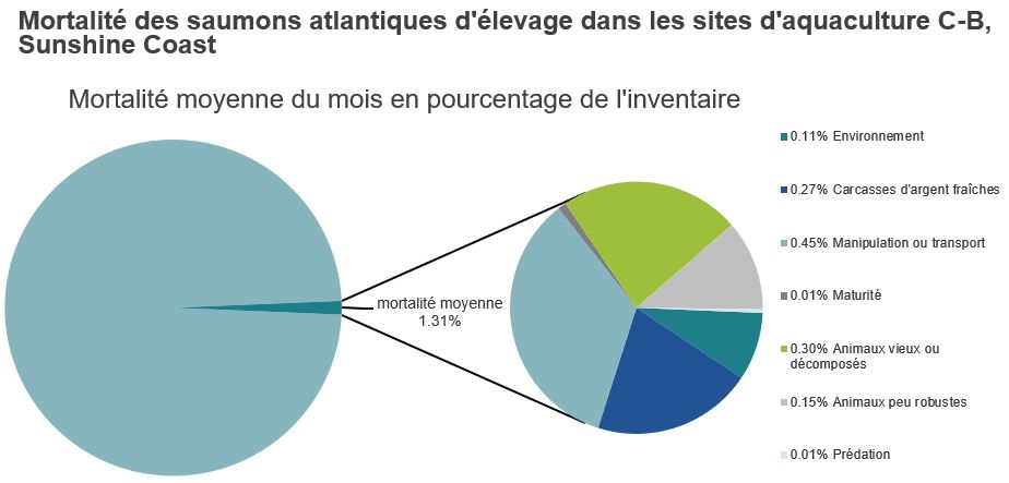 Mortalité des saumons atlantiques d'élevage dans les sites d'aquaculture C-B, Sunshine Coast