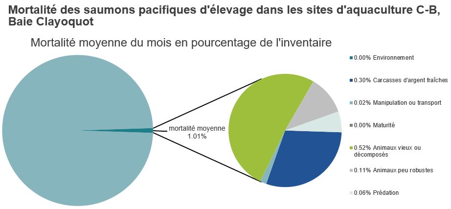 Mortalité des saumons pacifiques d'élevage dans les sites d'aquaculture C-B, Baie Clayoquot