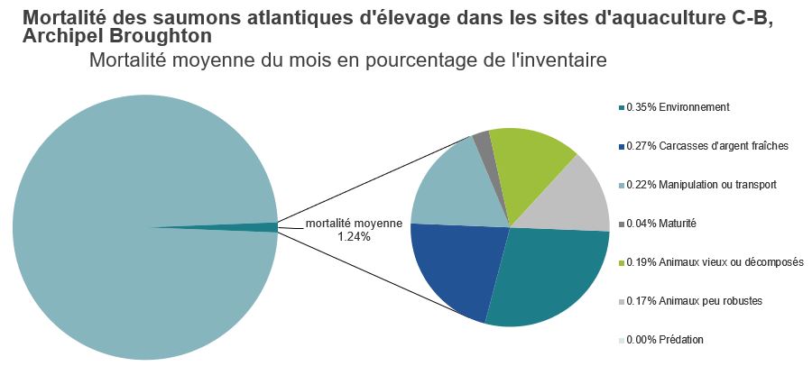 Mortalité des saumons atlantiques d'élevage dans les sites d'aquaculture C-B, Archipel Broughton