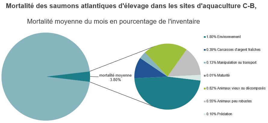 Mortalité des saumons atlantiques d'élevage dans les sites d'aquaculture C-B, Baie Clayoquot