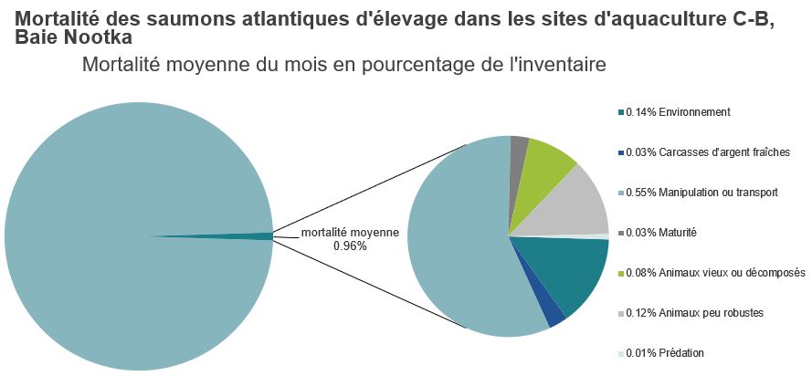 Mortalité des saumons atlantiques d'élevage dans les sites d'aquaculture C-B, Baie Nootka