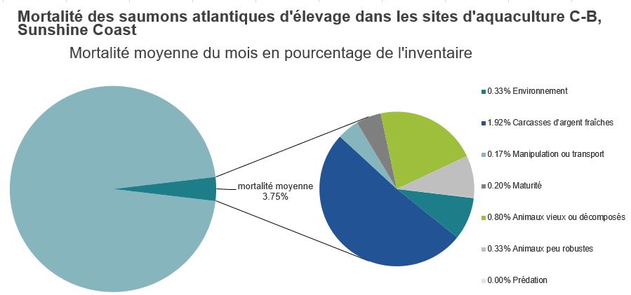 Mortalité des saumons atlantiques d'élevage dans les sites d'aquaculture C-B, Sunshine Coast