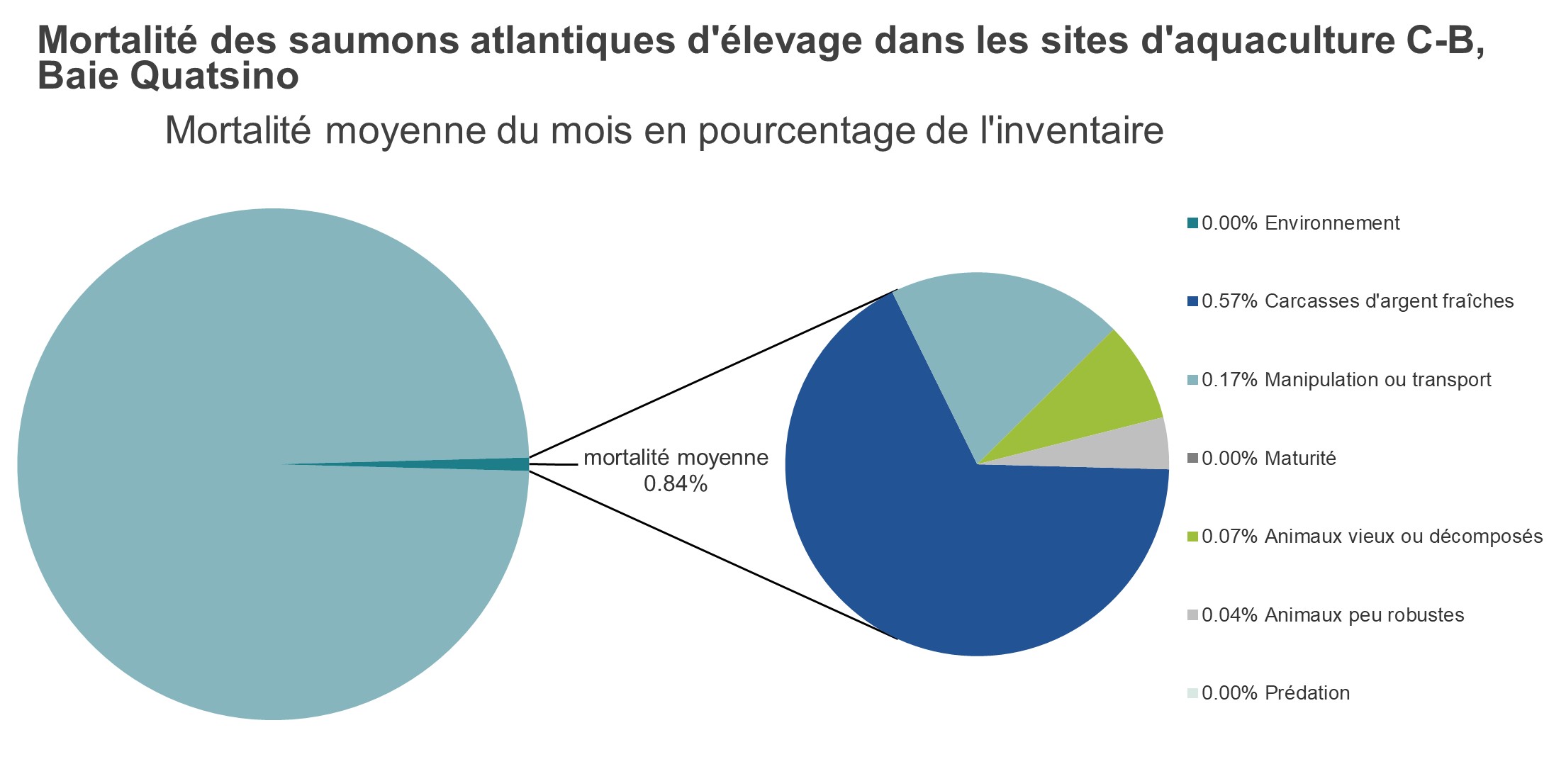 Mortalité des saumons atlantiques d'élevage dans les sites d'aquaculture C-B, Baie Quatsino