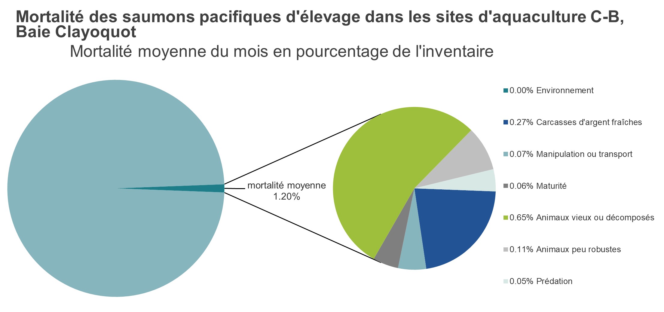 Mortalité des saumons pacifiques d'élevage dans les sites d'aquaculture C-B, Baie Clayoquot