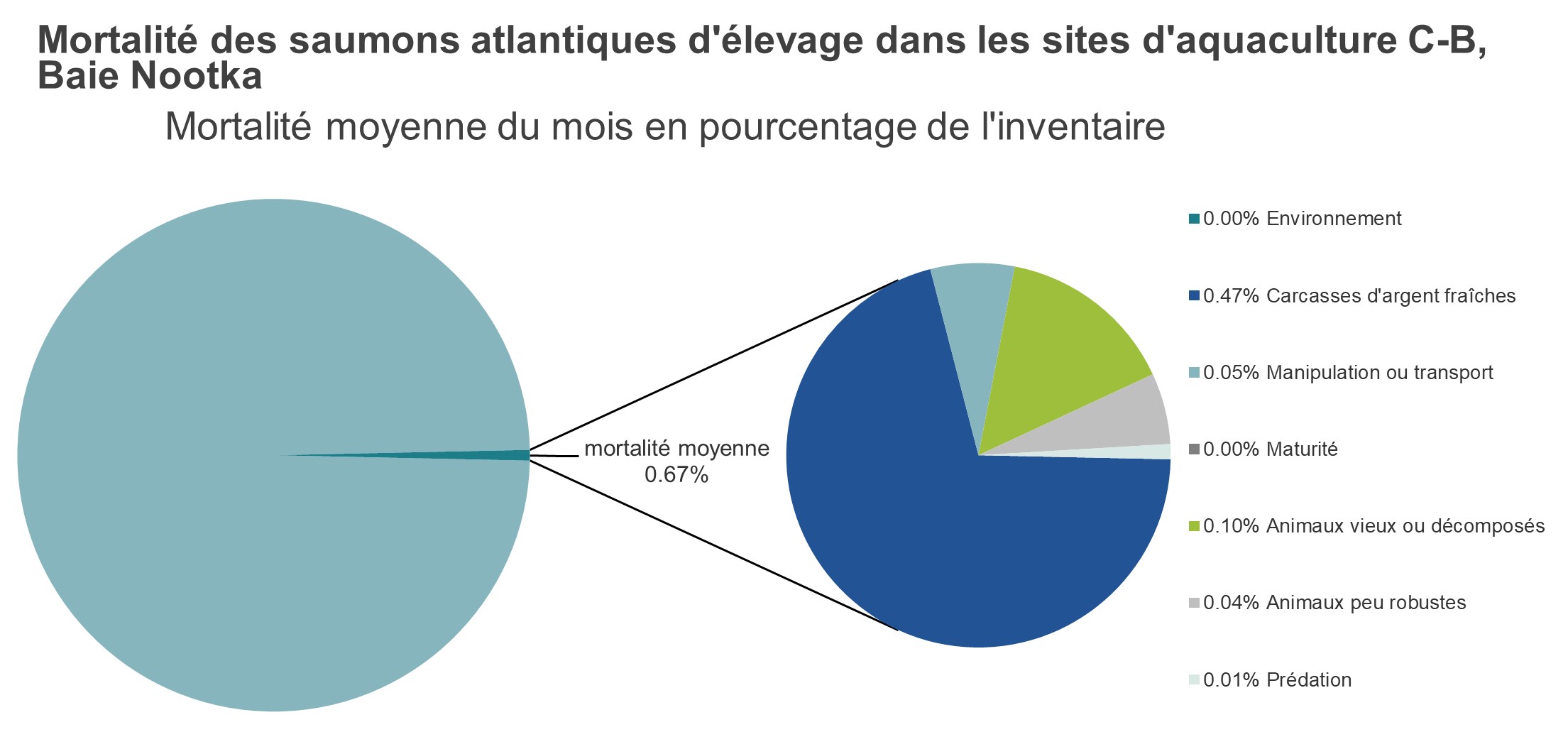 Mortalité des saumons atlantiques d'élevage dans les sites d'aquaculture C-B, Baie Nootka