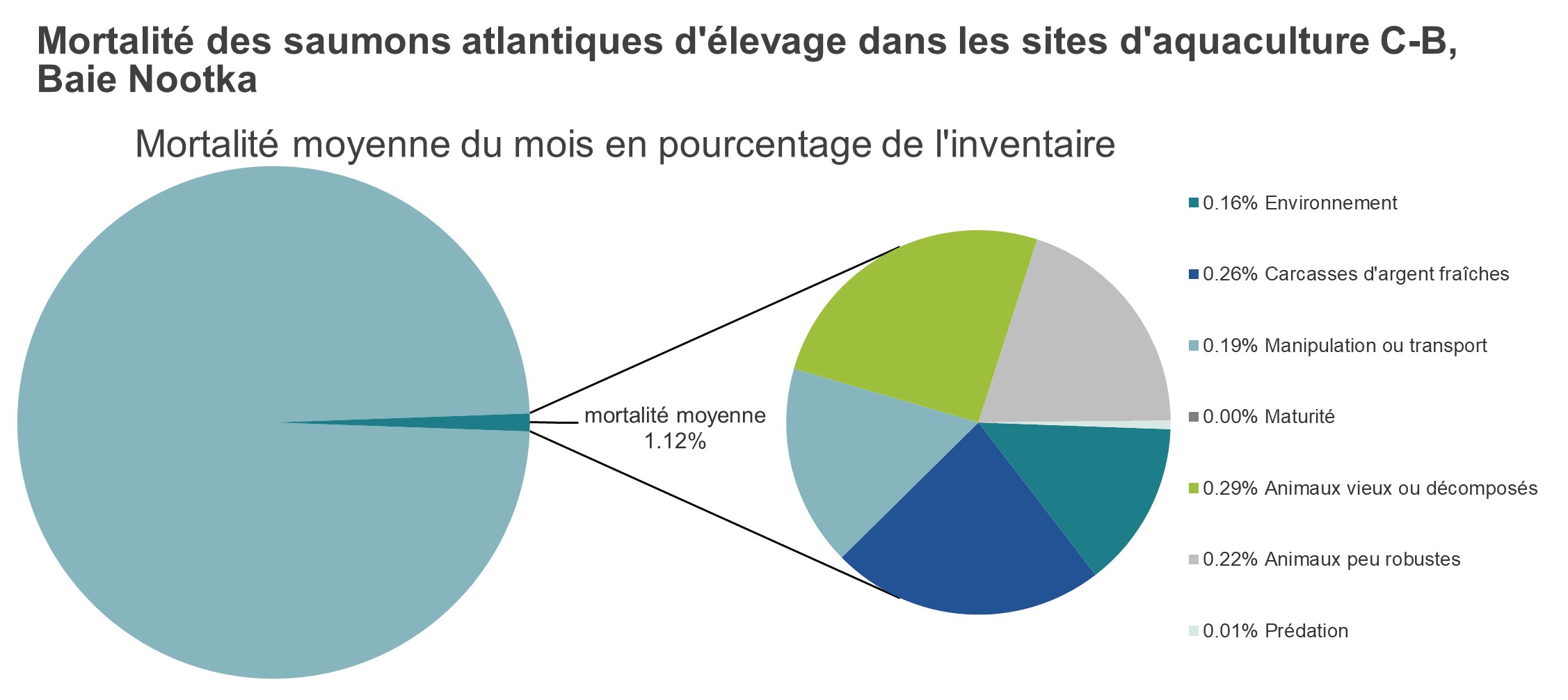 Mortalité des saumons atlantiques d'élevage dans les sites d'aquaculture C-B, Baie Nootka