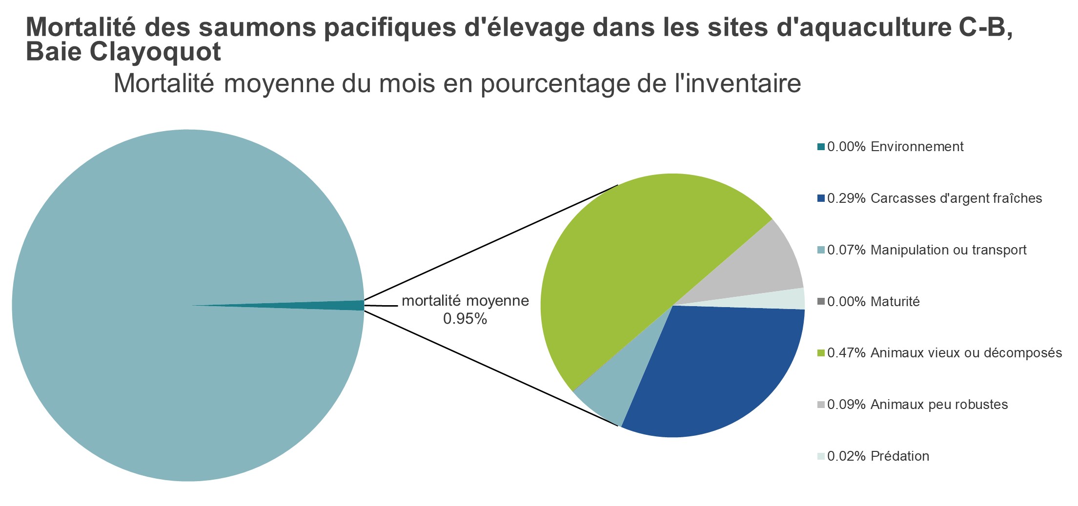 Mortalité des saumons pacifiques d'élevage dans les sites d'aquaculture C-B, Baie Clayoquot
