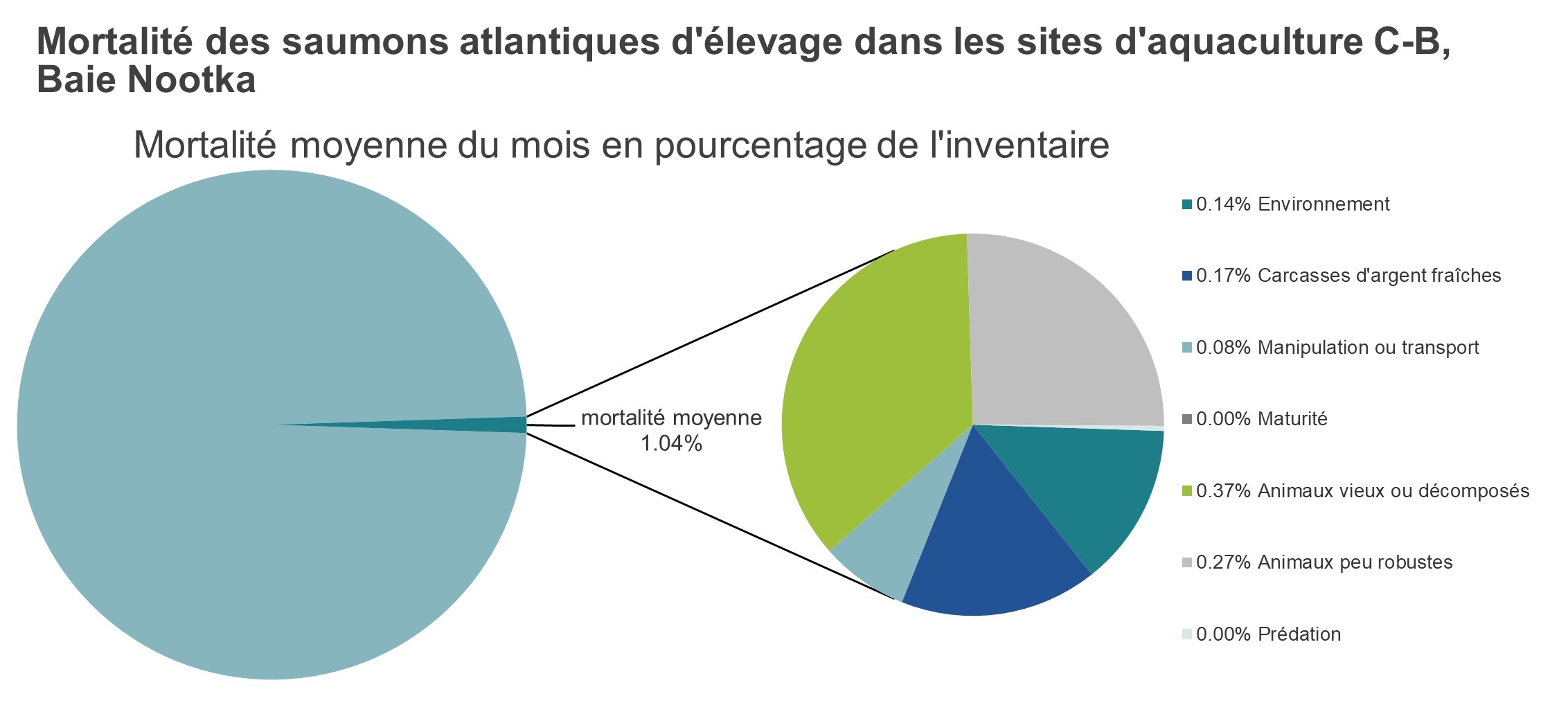 Mortalité des saumons atlantiques d'élevage dans les sites d'aquaculture C-B, Baie Nootka