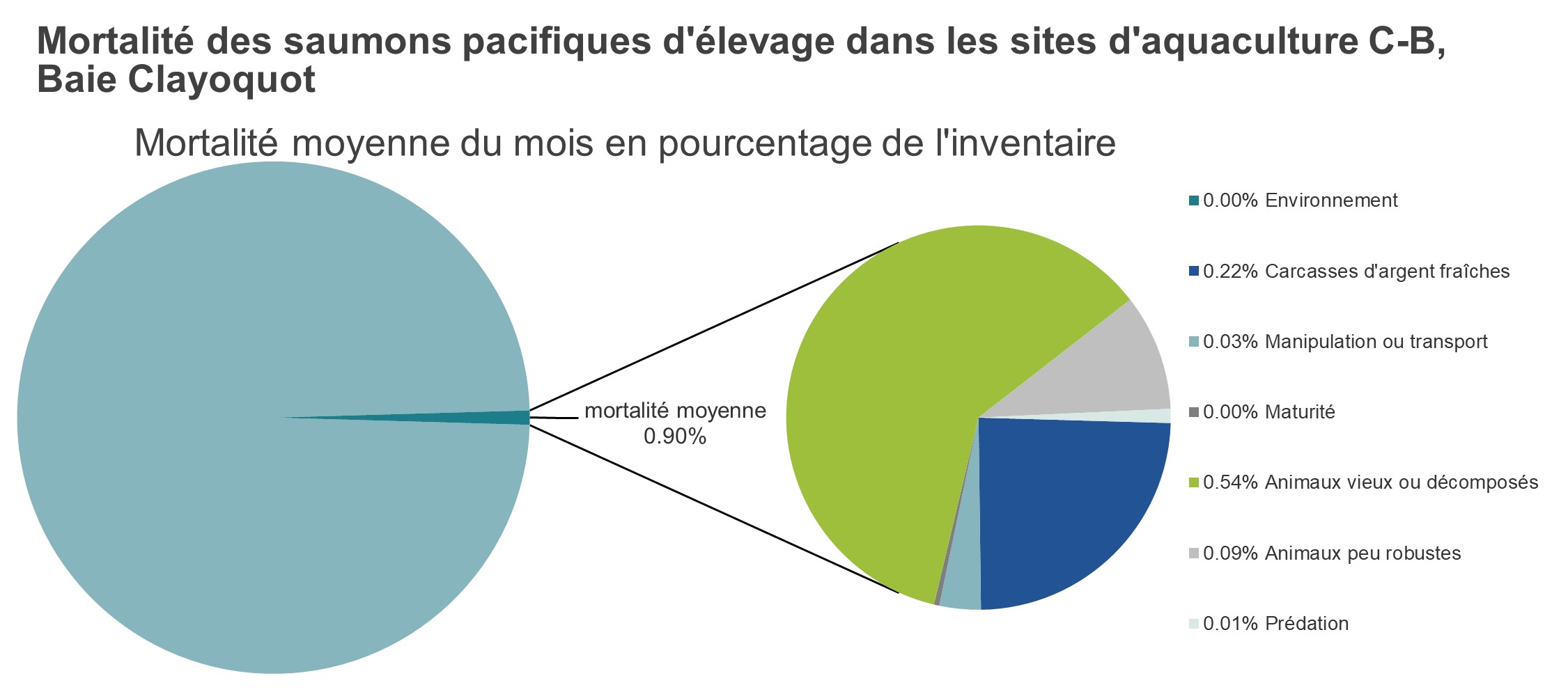 Mortalité des saumons pacifiques d'élevage dans les sites d'aquaculture C-B, Baie Clayoquot