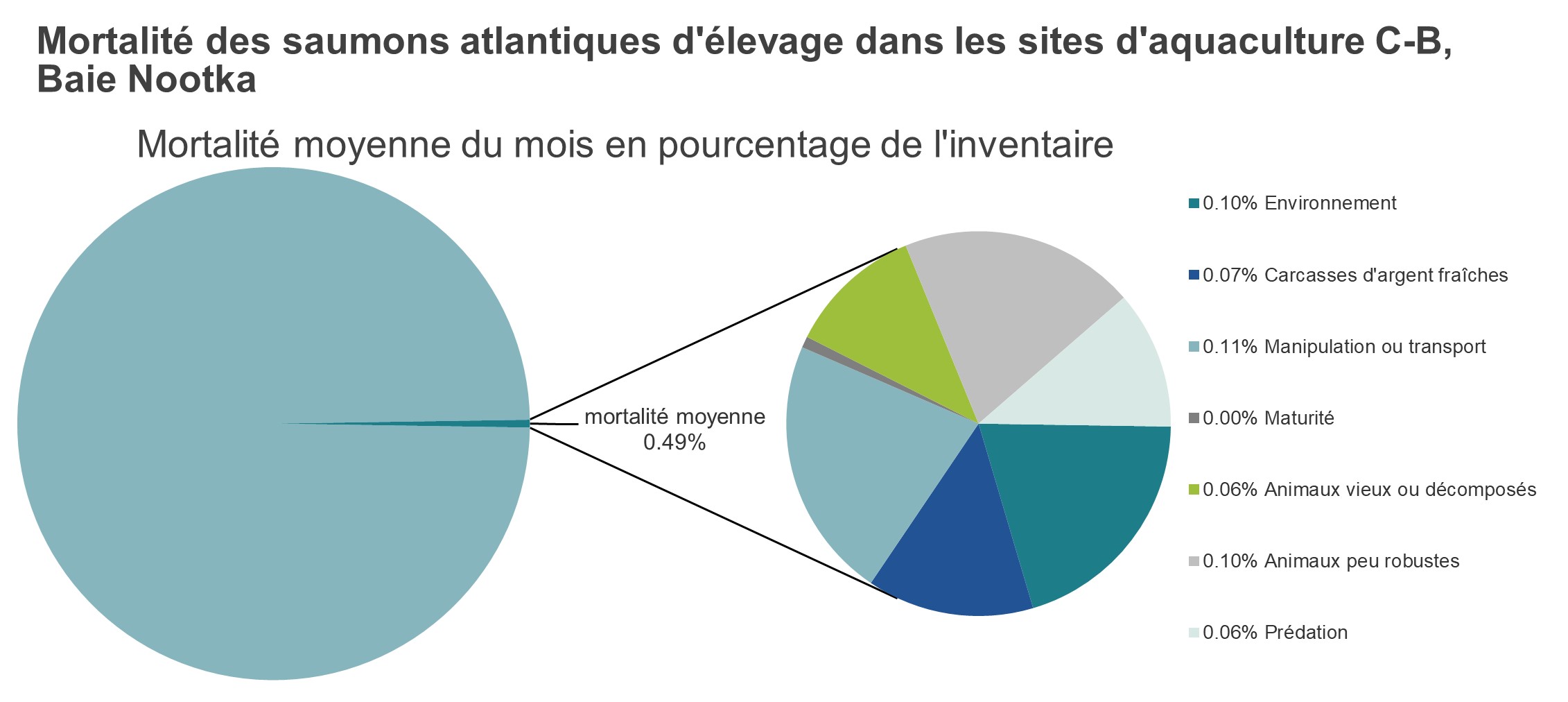 Mortalité des saumons atlantiques d'élevage dans les sites d'aquaculture C-B, Baie Nootka