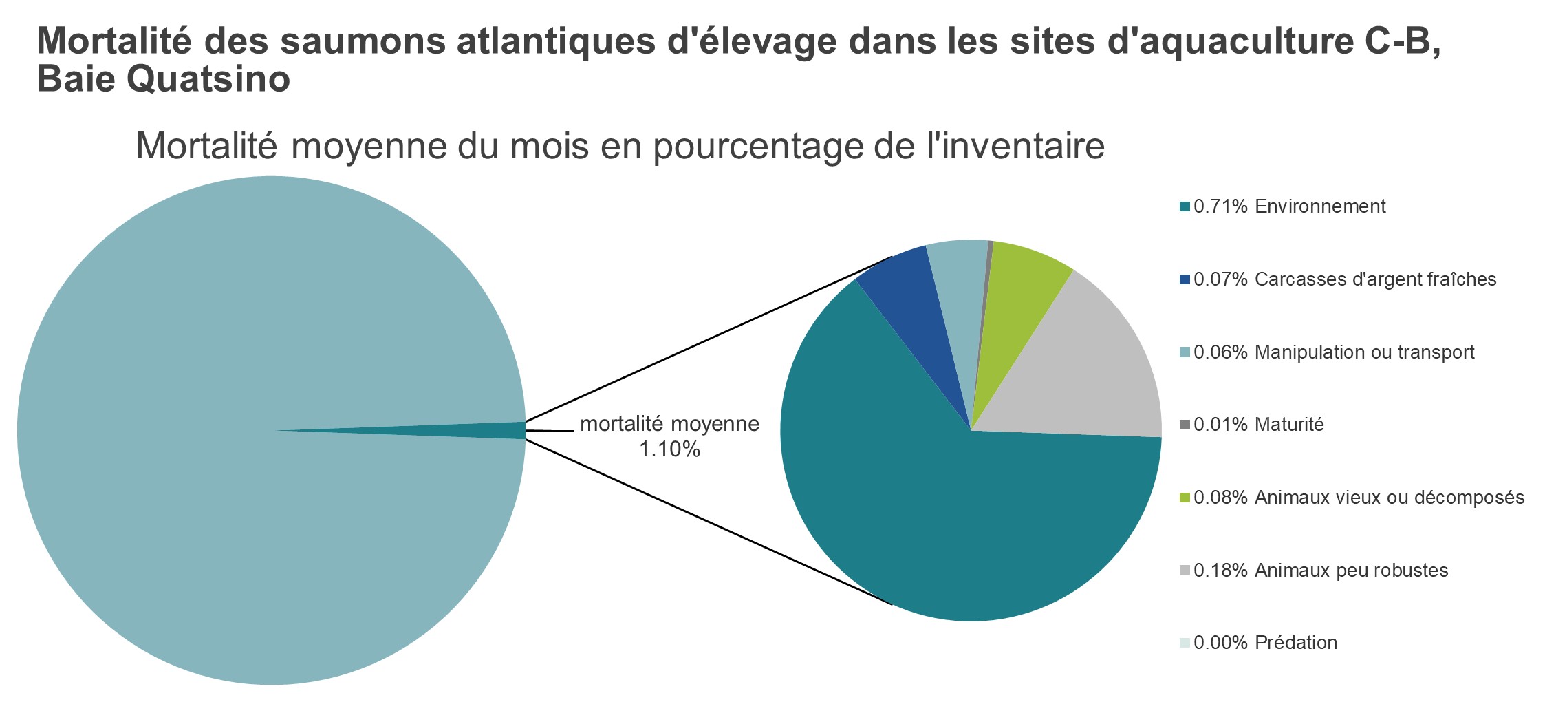 Mortalité des saumons atlantiques d'élevage dans les sites d'aquaculture C-B, Baie Quatsino