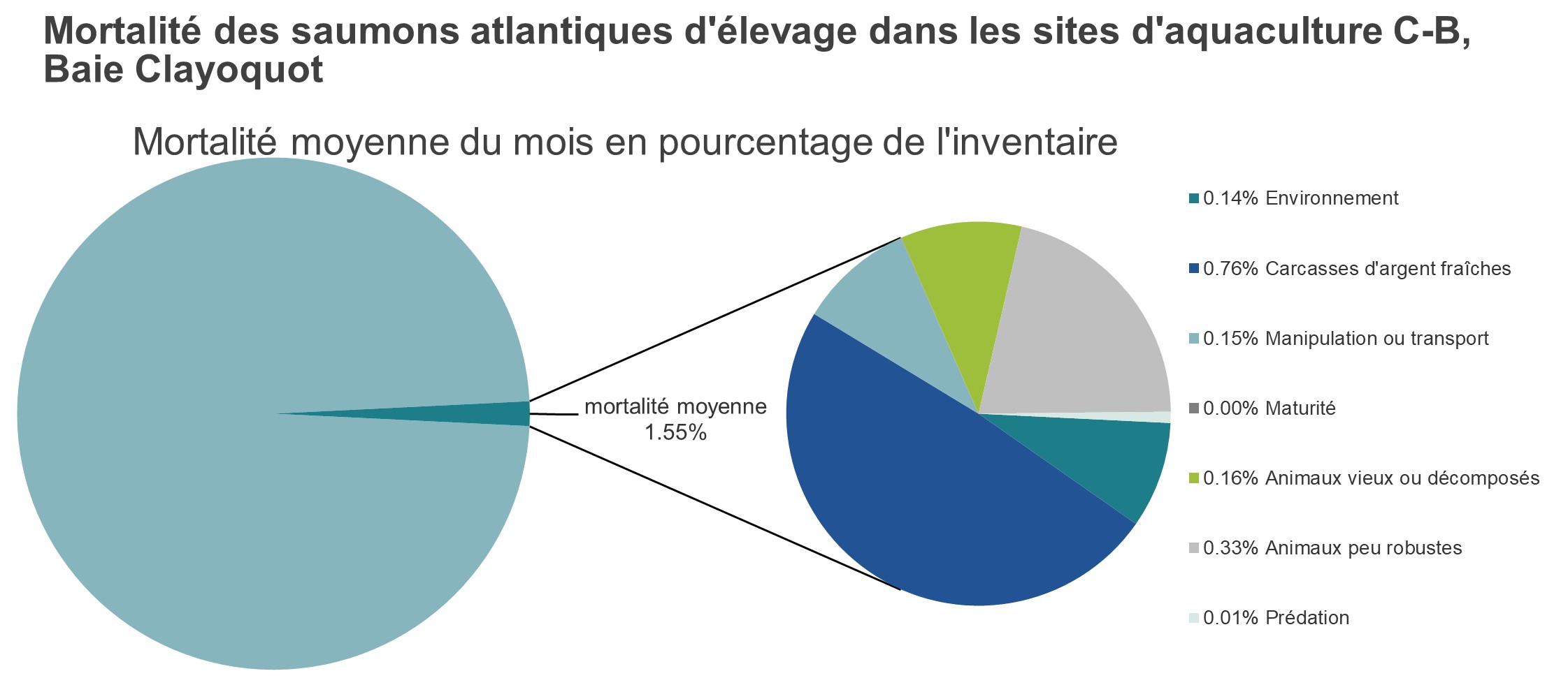 Mortalité des saumons atlantiques d'élevage dans les sites d'aquaculture C-B, Baie Clayoquot