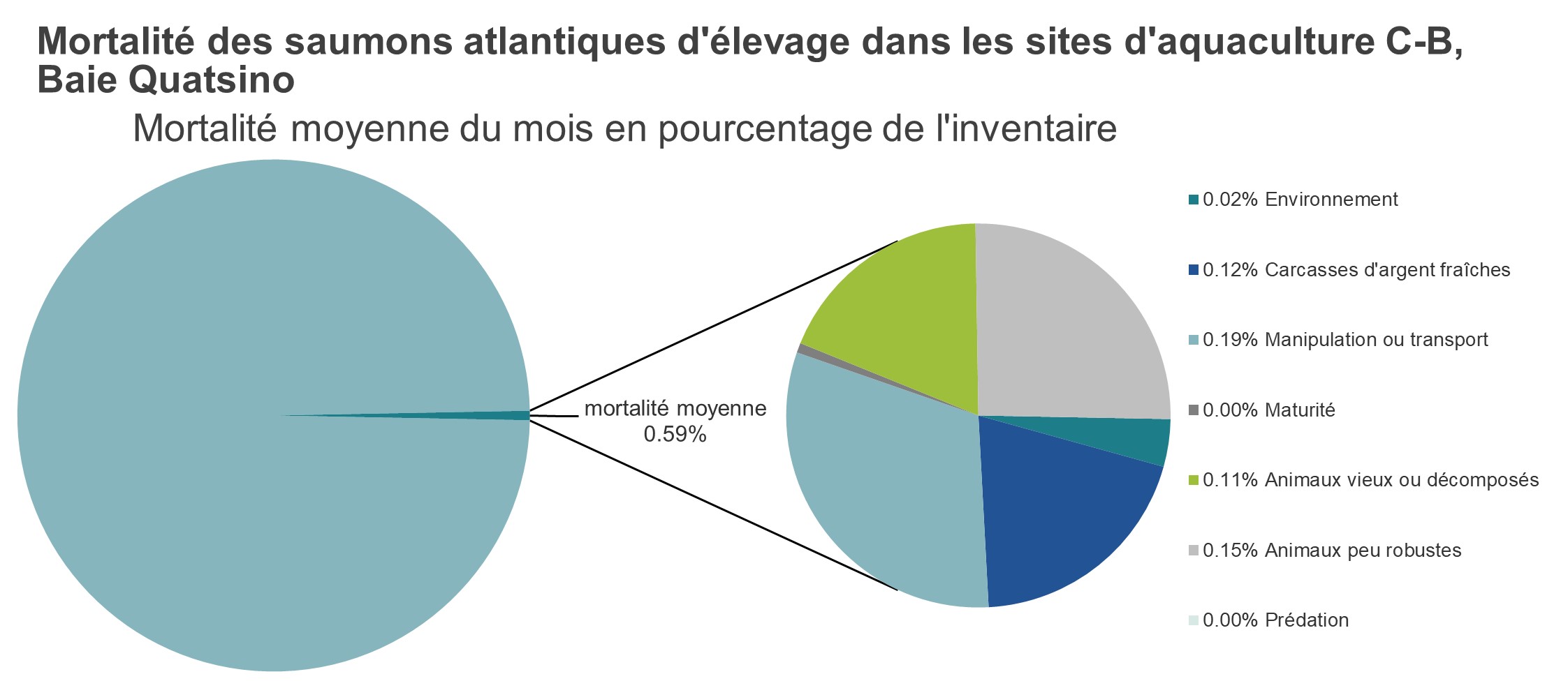 Mortalité des saumons atlantiques d'élevage dans les sites d'aquaculture C-B, Baie Quatsino